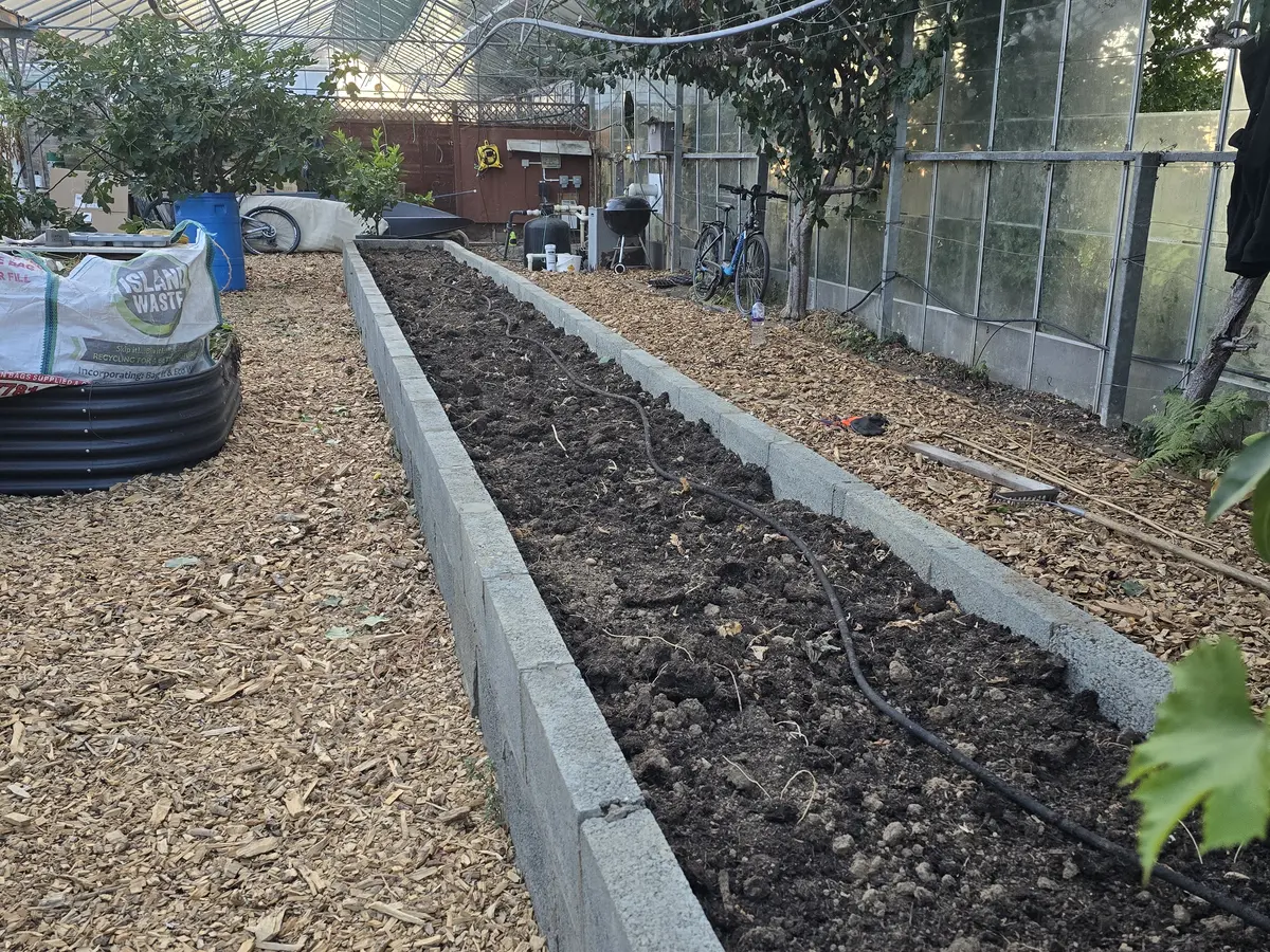 Garden maintenance near greenhouse in Guernsey